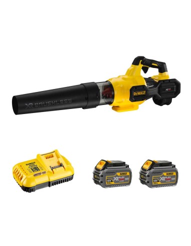 DeWALT DCMBA572T2SK (2 x 54V/18V FlexVolt 6,0 Ah + DCB118 +