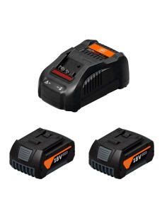 Power Set FEIN (2 x 5,0 Ah + GAL1880CV)