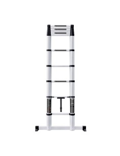 Telescopic Ladder 320 cm WERKU 2