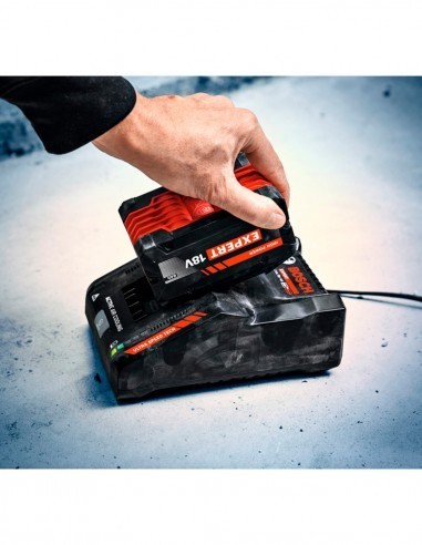 Power Set BOSCH (2 x 18V EXBA 8,0 Ah + EXAL18V-160)